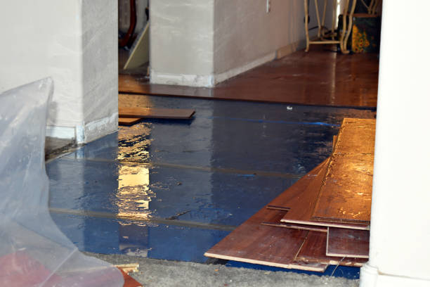 Professional Water Damage Restoration technician working in Stover, MO